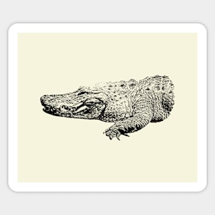 Alligator Sticker